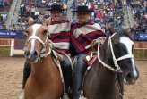La probada sangre ganadora de los caballos Campeones de Chile