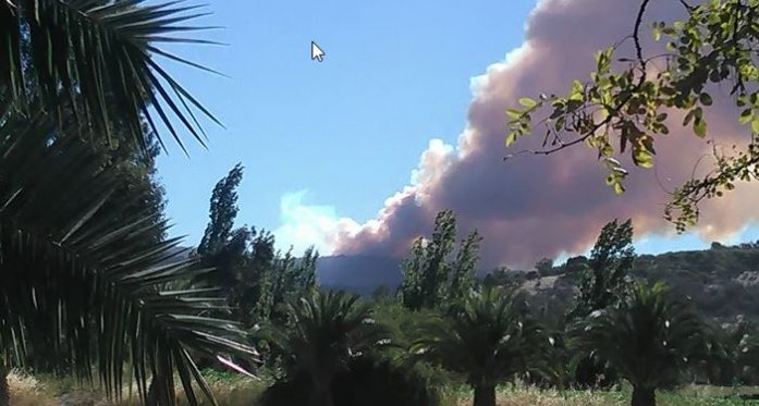 Incendio en Pumanque mantiene alertas a corraleros de Colchagua y Cardenal Caro