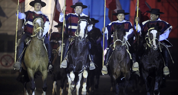 Juan Pablo Cardemil y la nueva aventura de Palmas: Soy un agradecido de los caballos chilenos