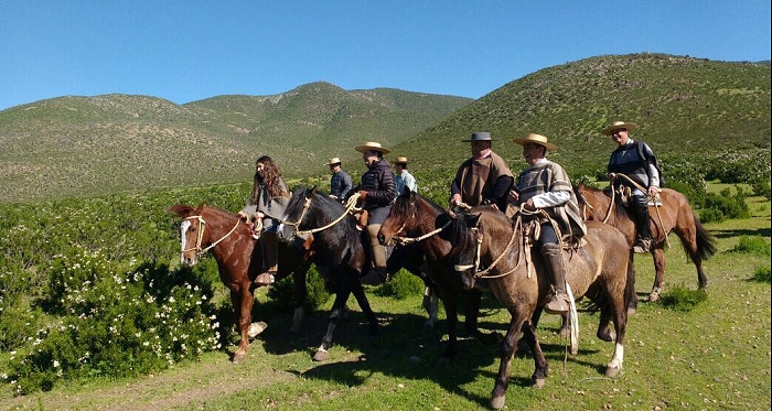 Criadores de la Asociación Coquimbo disfrutaron una entretenida cabalgata familiar