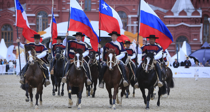 En perfectas condiciones retornan a Chile los caballos de Palmas