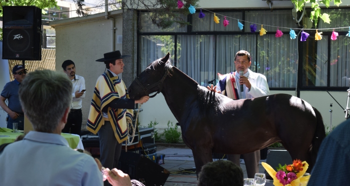 U. de Concepción sede Chillán tuvo gran asistencia en charla sobre el Caballo Chileno