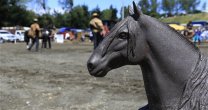 Asociaciones Casablanca y Melipilla preparan exposición de caballos para Ferocam