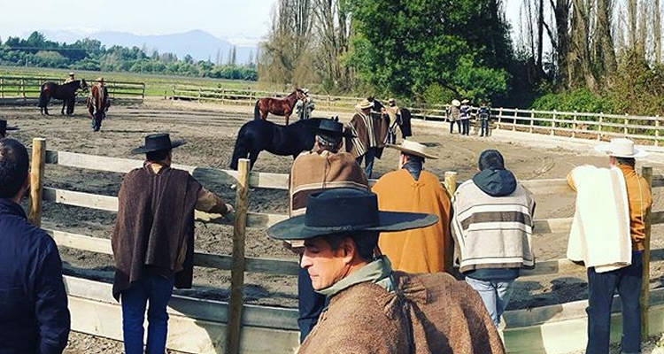 Criadores de Linares tuvieron ameno Día de Campo en Clínica Veterinaria Equusvet