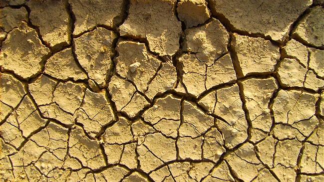 La sequía afecta duramente a criadores y corraleros
