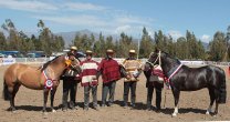 Asociaciones Petorca y Los Andes preparan en conjunto Expo y Rodeo Para Criadores