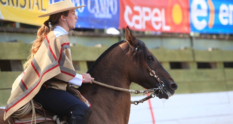 Consejos veterinarios de Javiera Toro: Los caballos se deben mantener idealmente en movimiento