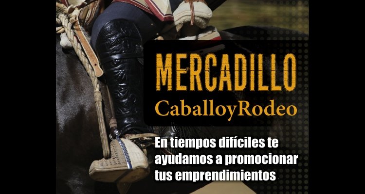 Mercadillo CaballoyRodeo: Carpintería en Valdivia, mantas y acuarelas