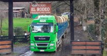 La ayuda de los Huasos Corren por Chile también incluye alimento para los animales