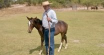 Edmundo Molina, el amor por el caballo sin limitaciones
