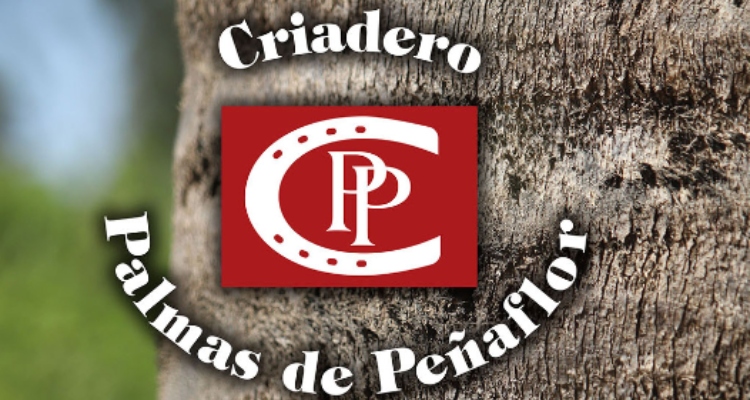 Criadero Palmas de Peñaflor tiene atractivo remate este jueves