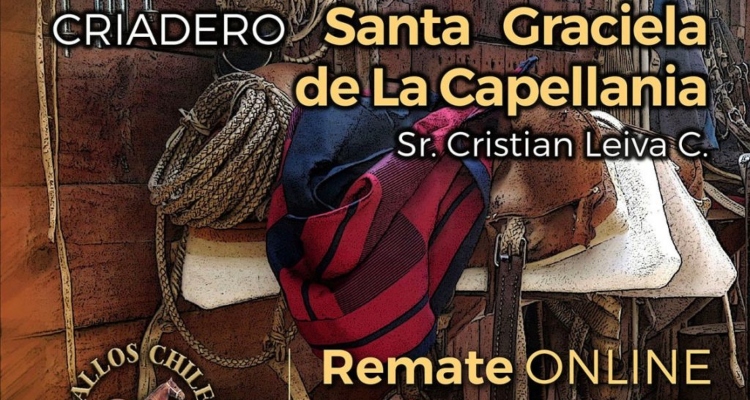 Criadero Santa Graciela de La Capellanía sale a remate con atractivos ejemplares