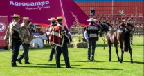 José Luis Pinochet sobre la Expo Nacional: La calidad de los caballos fue muy buena