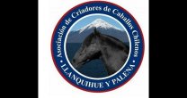Criadores de Llanquihue y Palena acercaron el Caballo Chileno a menores de Mejor Niñez