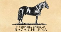 La 1ª Feria del Caballo Raza Chilena cambió de fecha y lugar