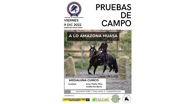 Competencia de Pruebas de Campo a lo Amazona Huasa dará realce al programa de la Expo Curicó
