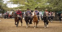 CaballoyRodeo en Vivo tuvo una gran previa del 74° Campeonato Nacional de Rodeo