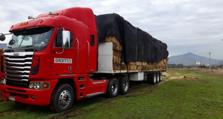 Asociación Aguanegra aporta transporte para trasladar más de 1.000 fardos a Licantén