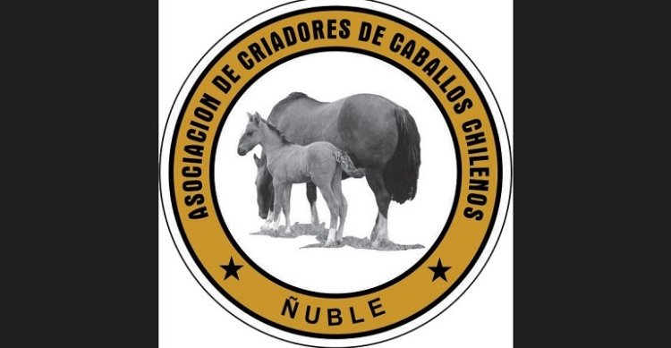 Criadores de Ñuble aplazaron actividades de su Fiesta de la Chilenidad